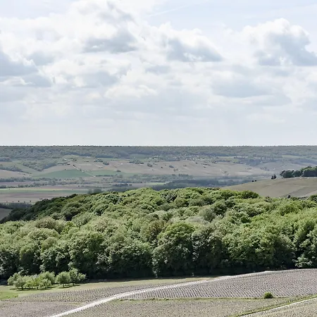 Szálloda Royal Champagne & Champillon