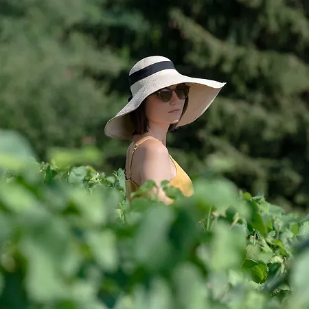 Royal Champagne & Szálloda Champillon