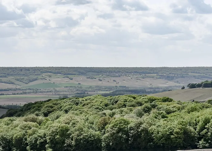 酒店 Royal Champagne & Champillon