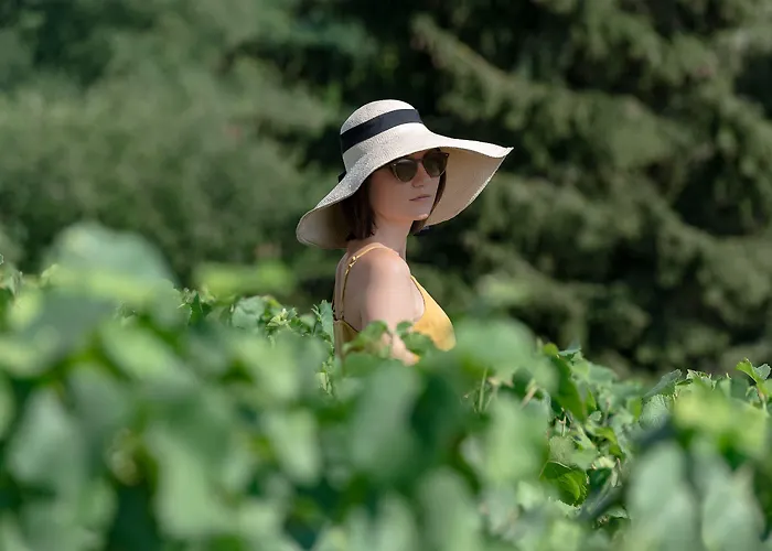 Royal Champagne & Hotel Champillon